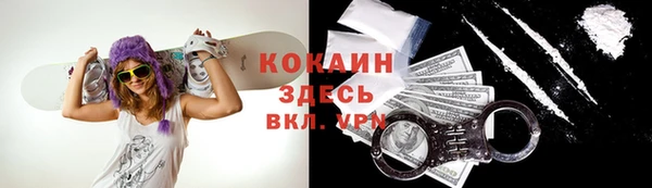 ешки Арсеньев